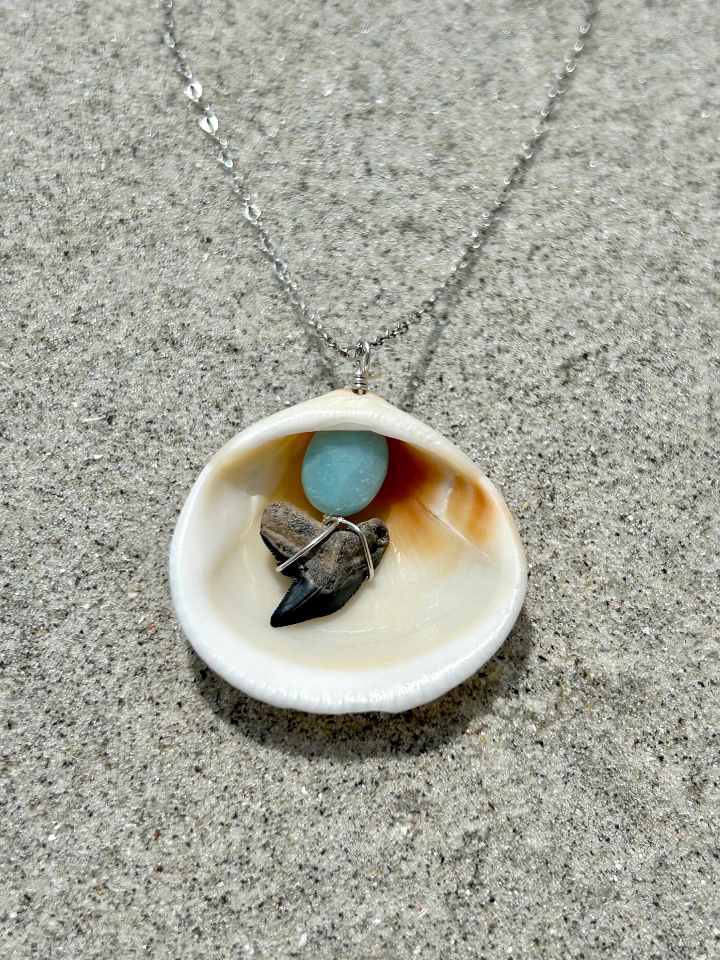 Shark Tooth Fossil, Clam Shell & Amazonite Gemstone Pendant Simple Sterling Silver Chain Necklace