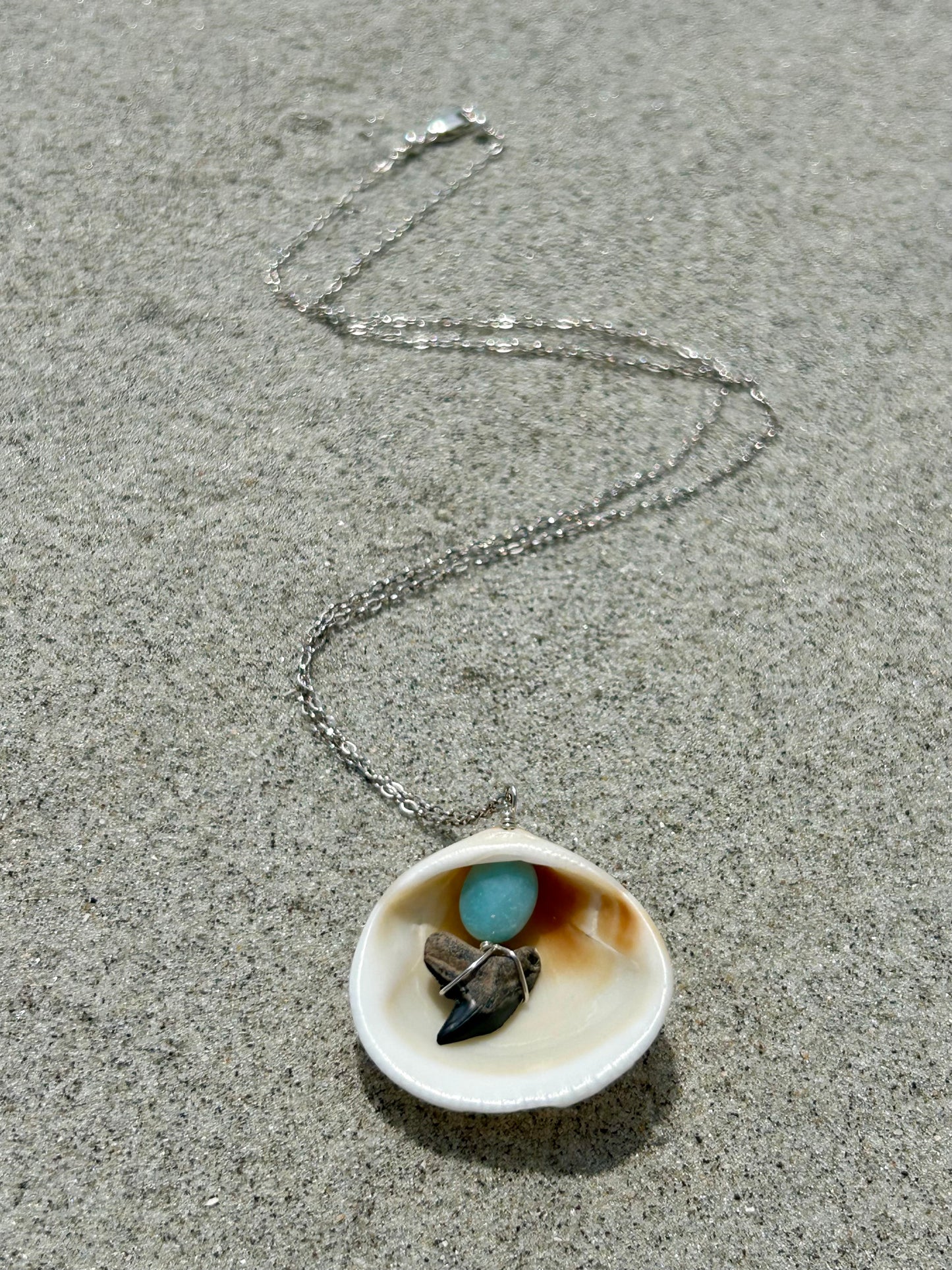 Shark Tooth Fossil, Clam Shell & Amazonite Gemstone Pendant Simple Sterling Silver Chain Necklace