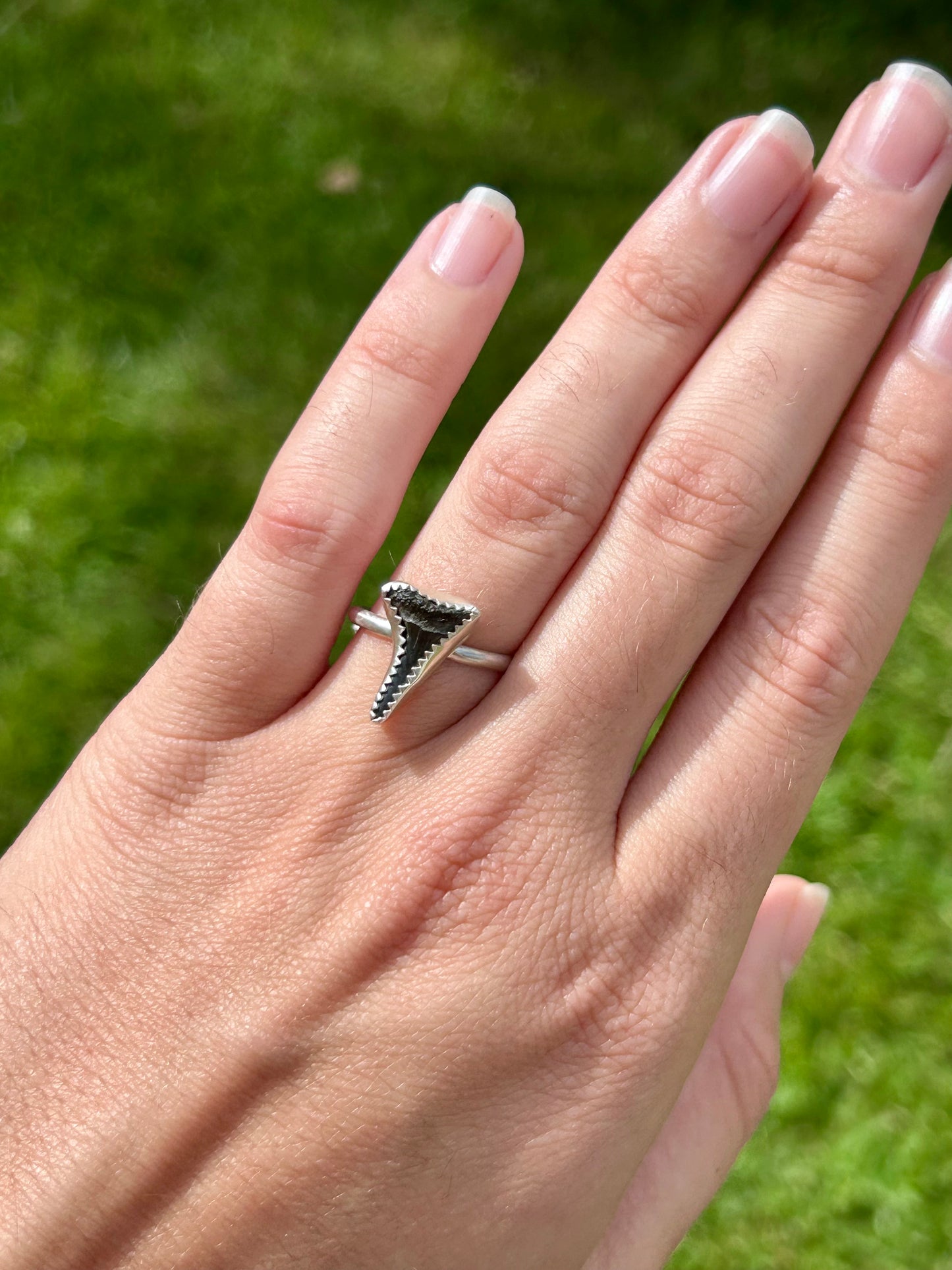 Shark Tooth Sterling Silver Ring, Size 7
