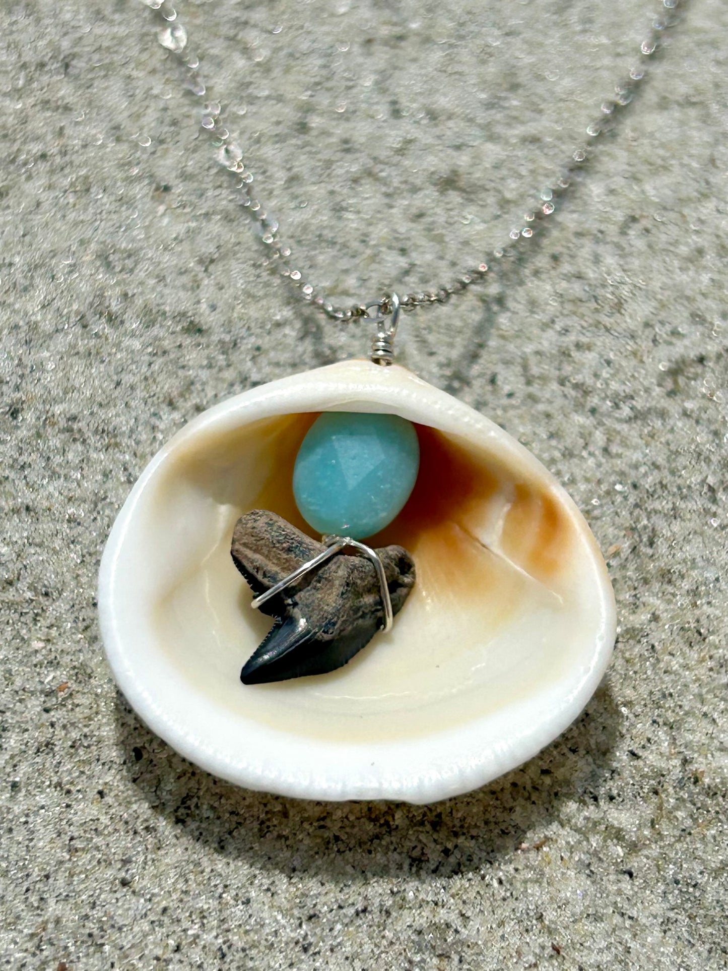 Shark Tooth Fossil, Clam Shell & Amazonite Gemstone Pendant Simple Sterling Silver Chain Necklace