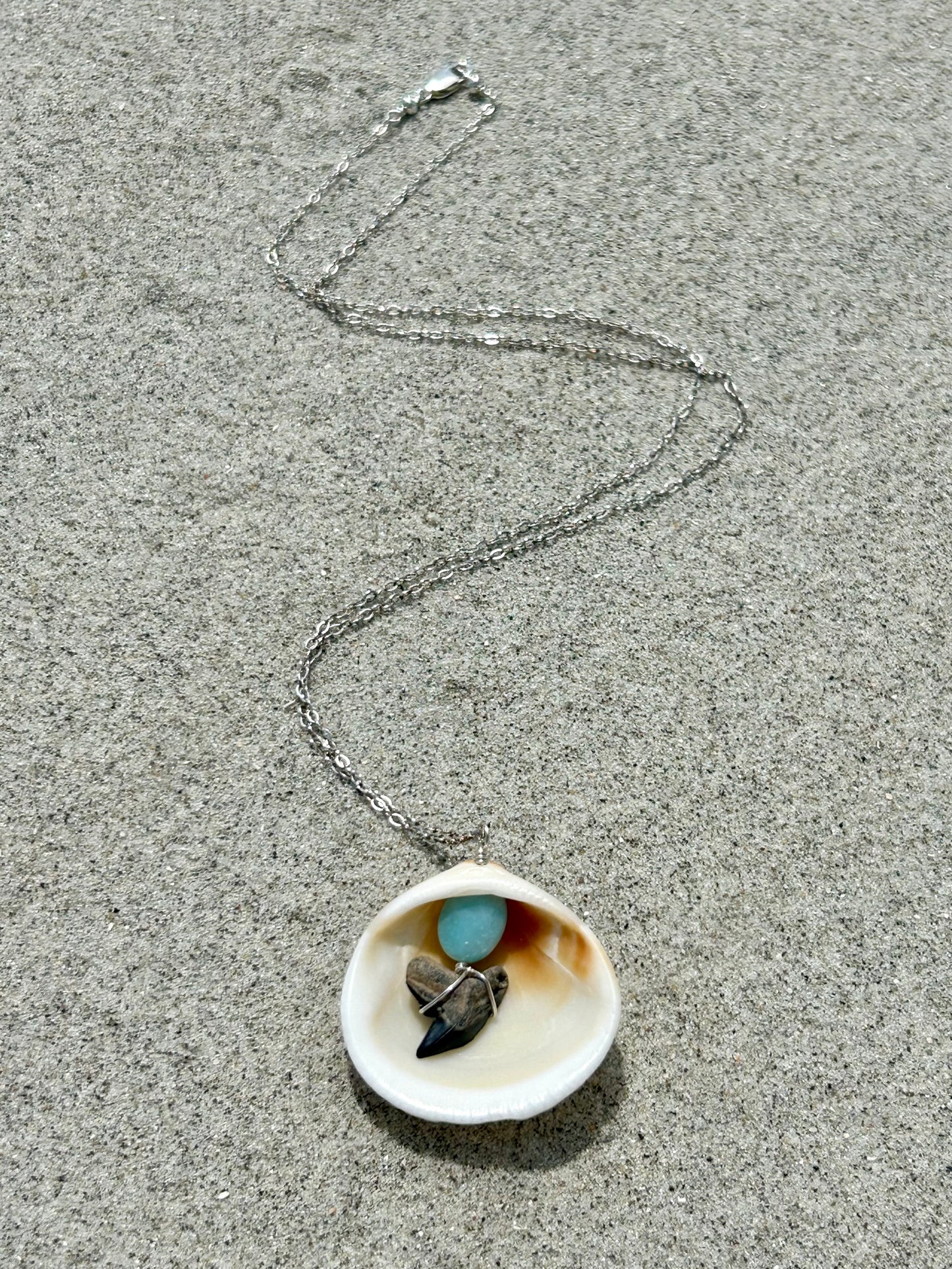Shark Tooth Fossil, Clam Shell & Amazonite Gemstone Pendant Simple Sterling Silver Chain Necklace