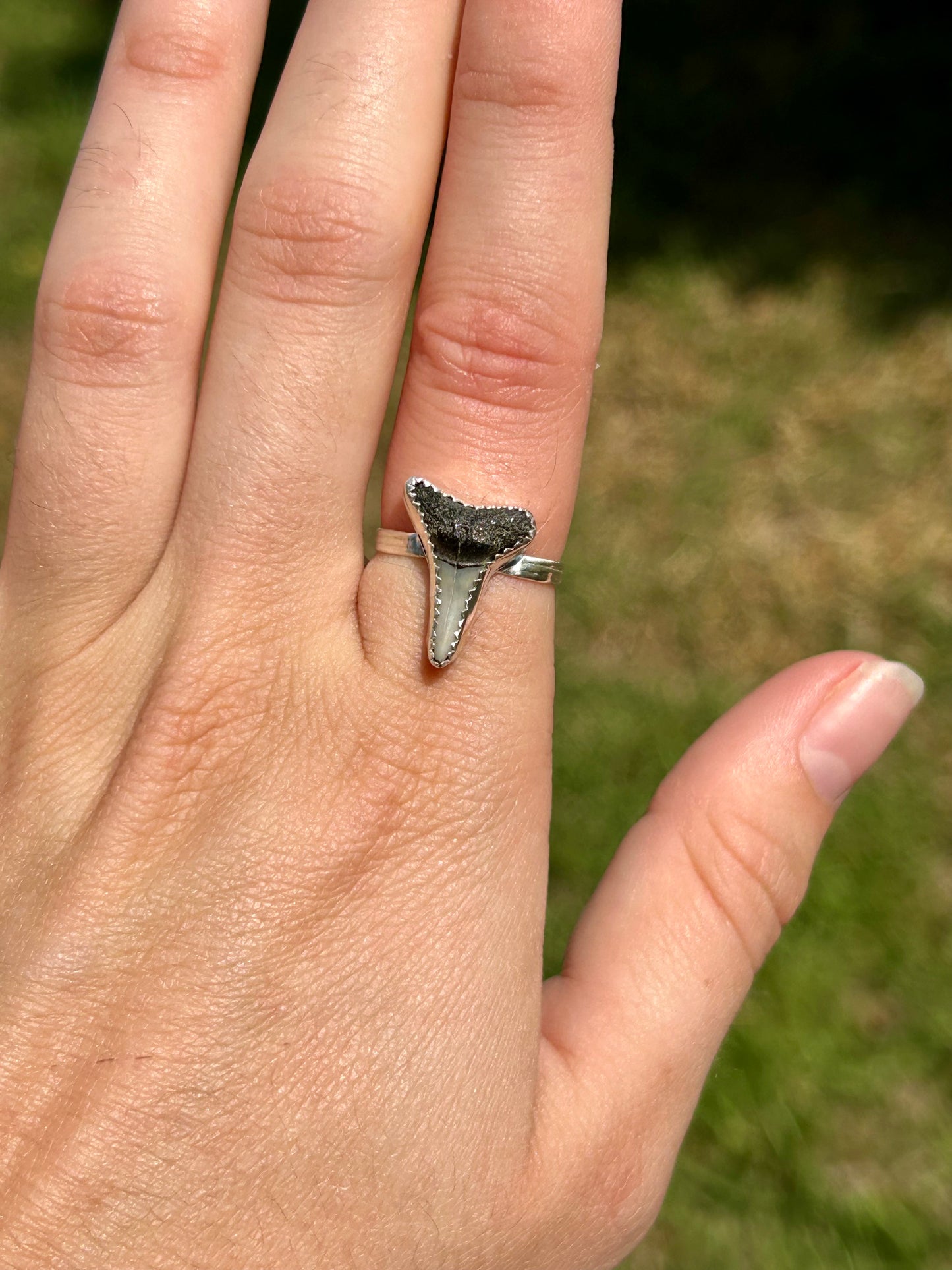 Shark Tooth Sterling Silver Ring, Size 7.5