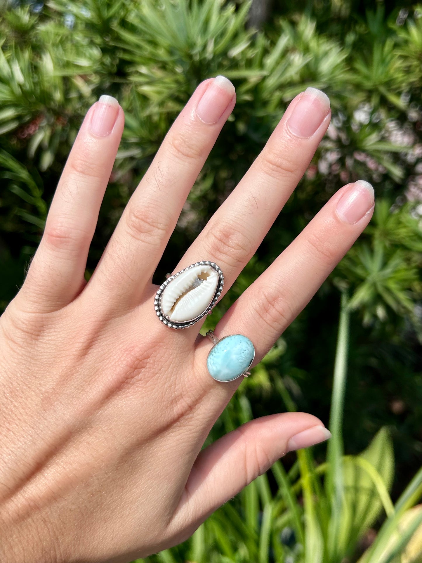 Cowrie Shell Sterling Silver Ring, Size 7.75