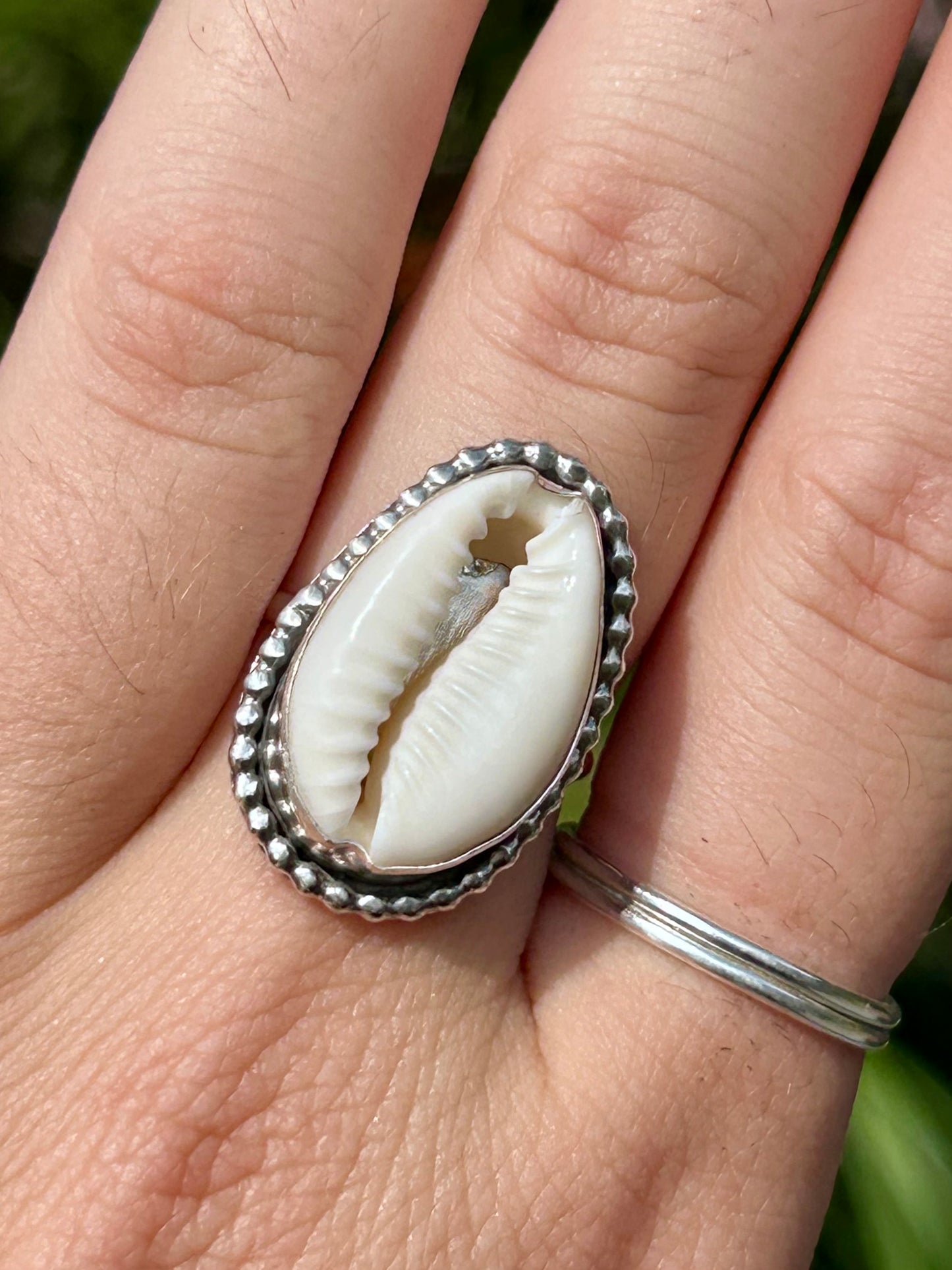 Cowrie Shell Sterling Silver Ring, Size 7.75