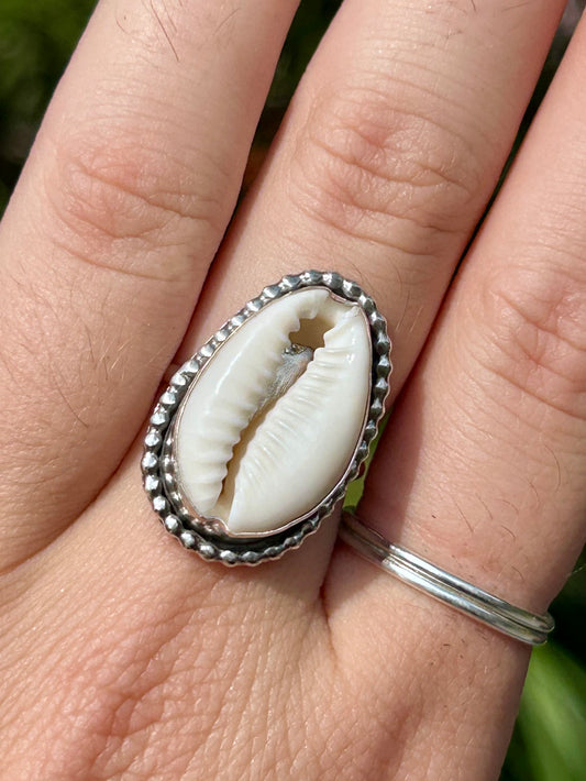 Cowrie Shell Sterling Silver Ring, Size 7.75