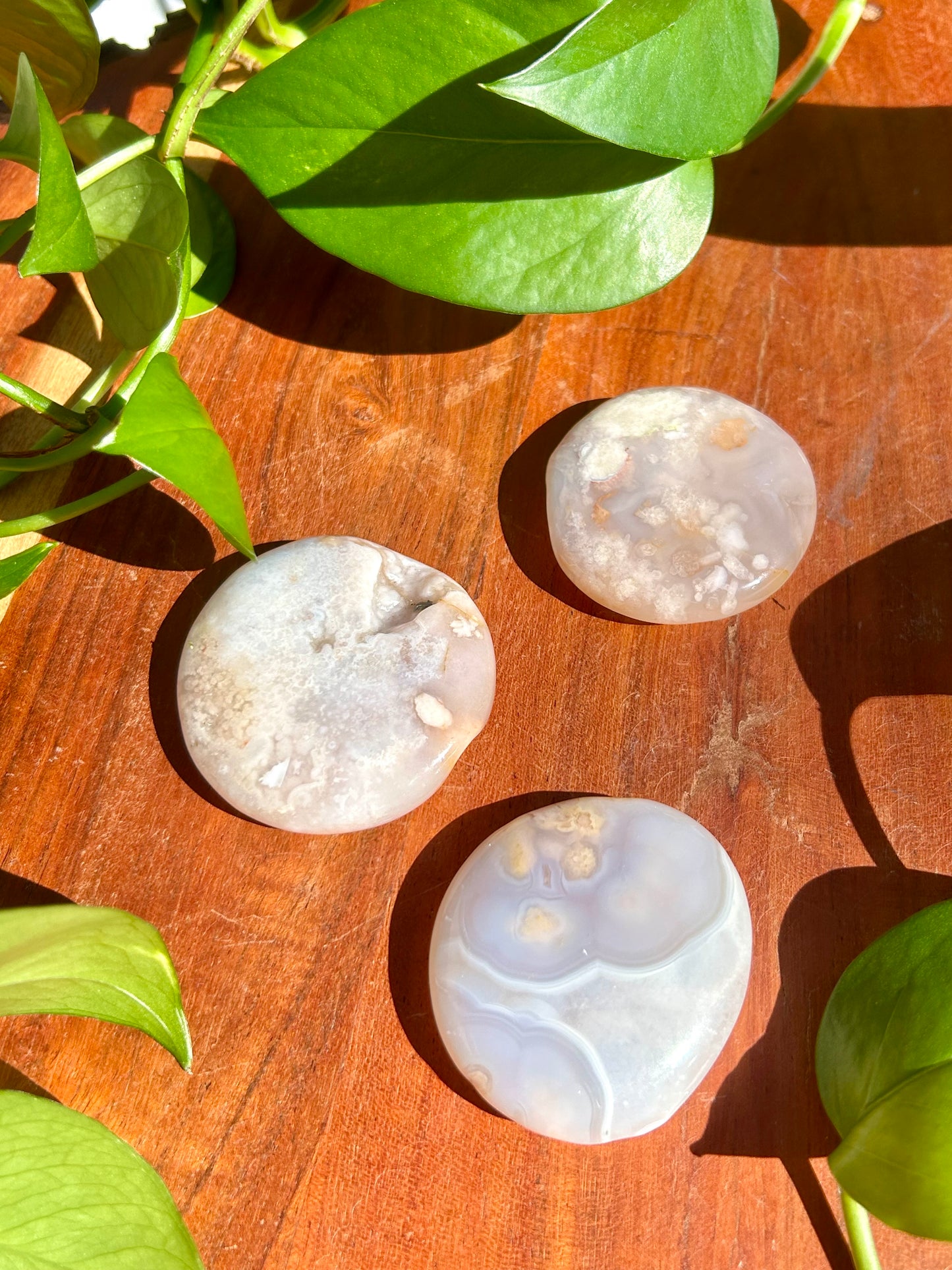 Flower Agate Gemstone Polished Round Flat Palm Stone