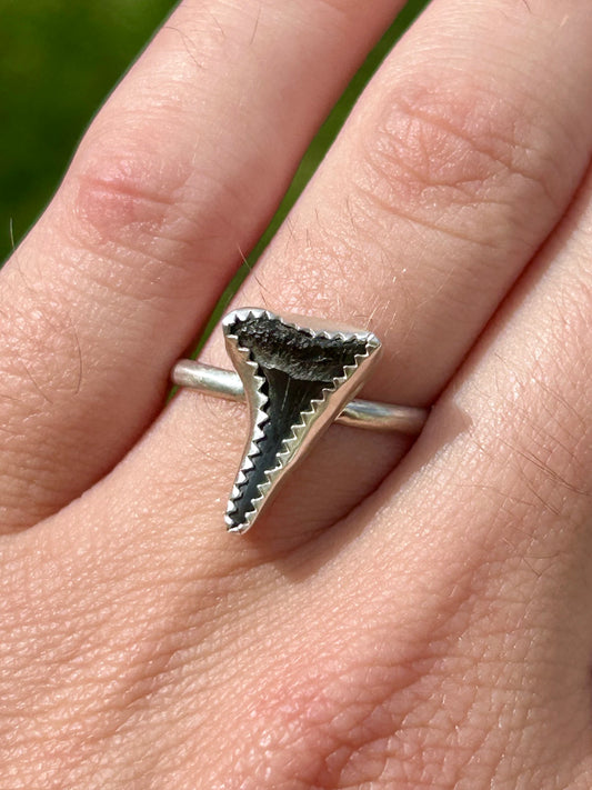 Shark Tooth Sterling Silver Ring, Size 7