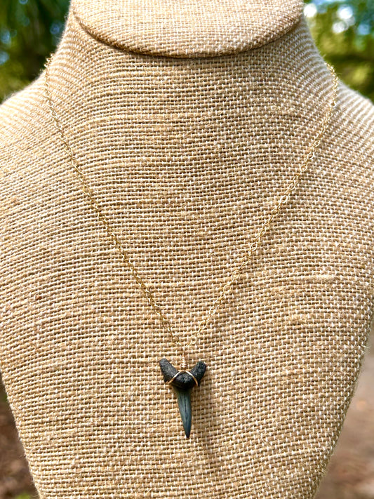 Natural Shark Tooth Fossil Simple Pendant Chain Necklace 14k Gold Filled