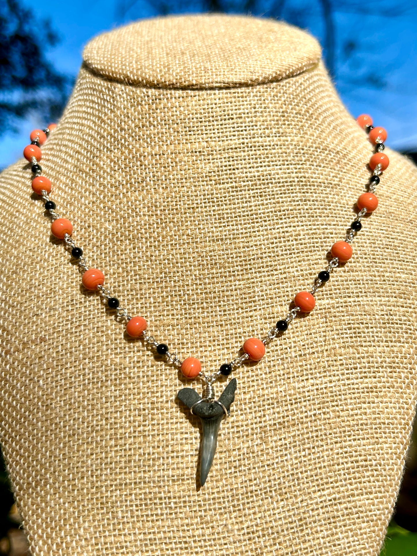 Shark Tooth Fossil with Coral & Black Onyx Sterling Silver Chain Link Necklace