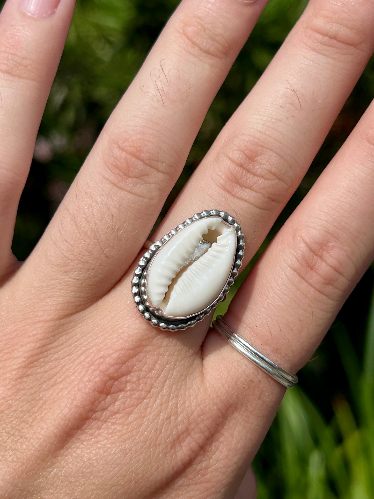Cowrie Shell Sterling Silver Ring, Size 7.75