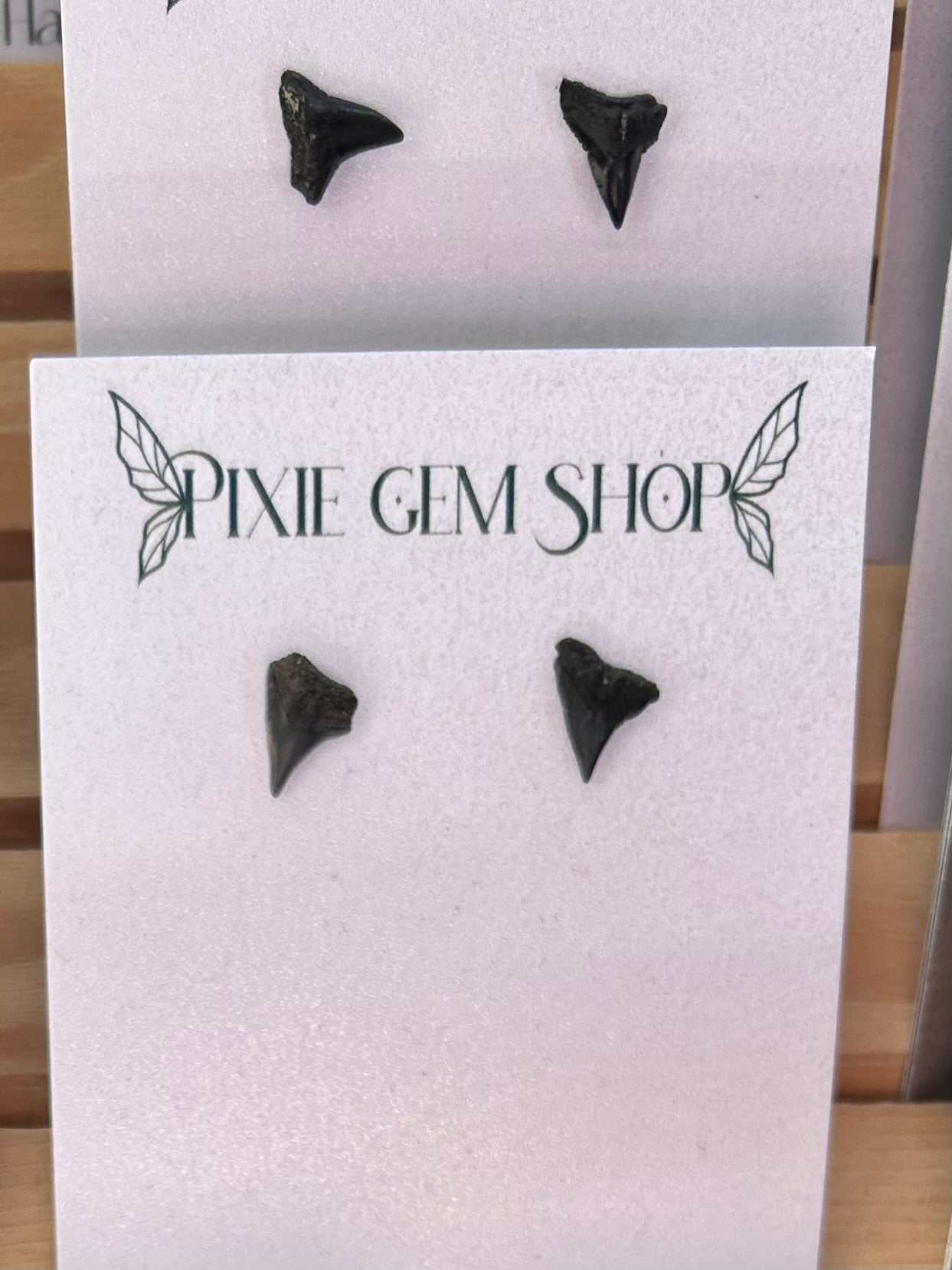 Shark Tooth Fossil Hypoallergenic Stainless Steel Stud Earrings