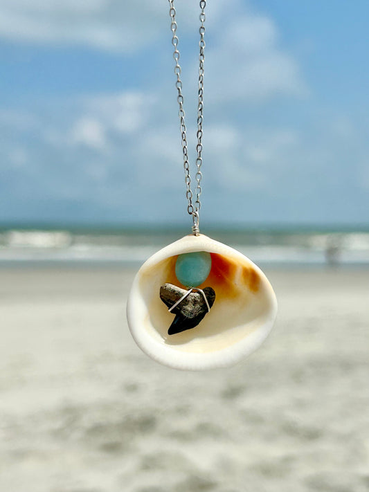 Shark Tooth Fossil, Clam Shell & Amazonite Gemstone Pendant Simple Sterling Silver Chain Necklace