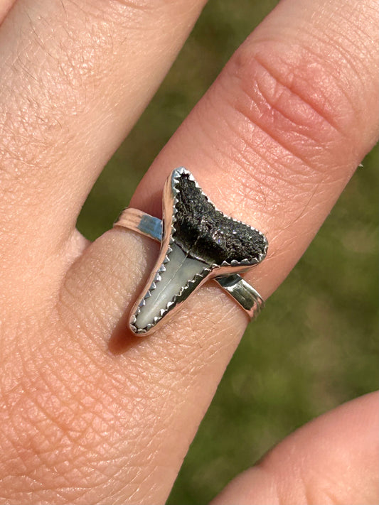 Shark Tooth Sterling Silver Ring, Size 7.5