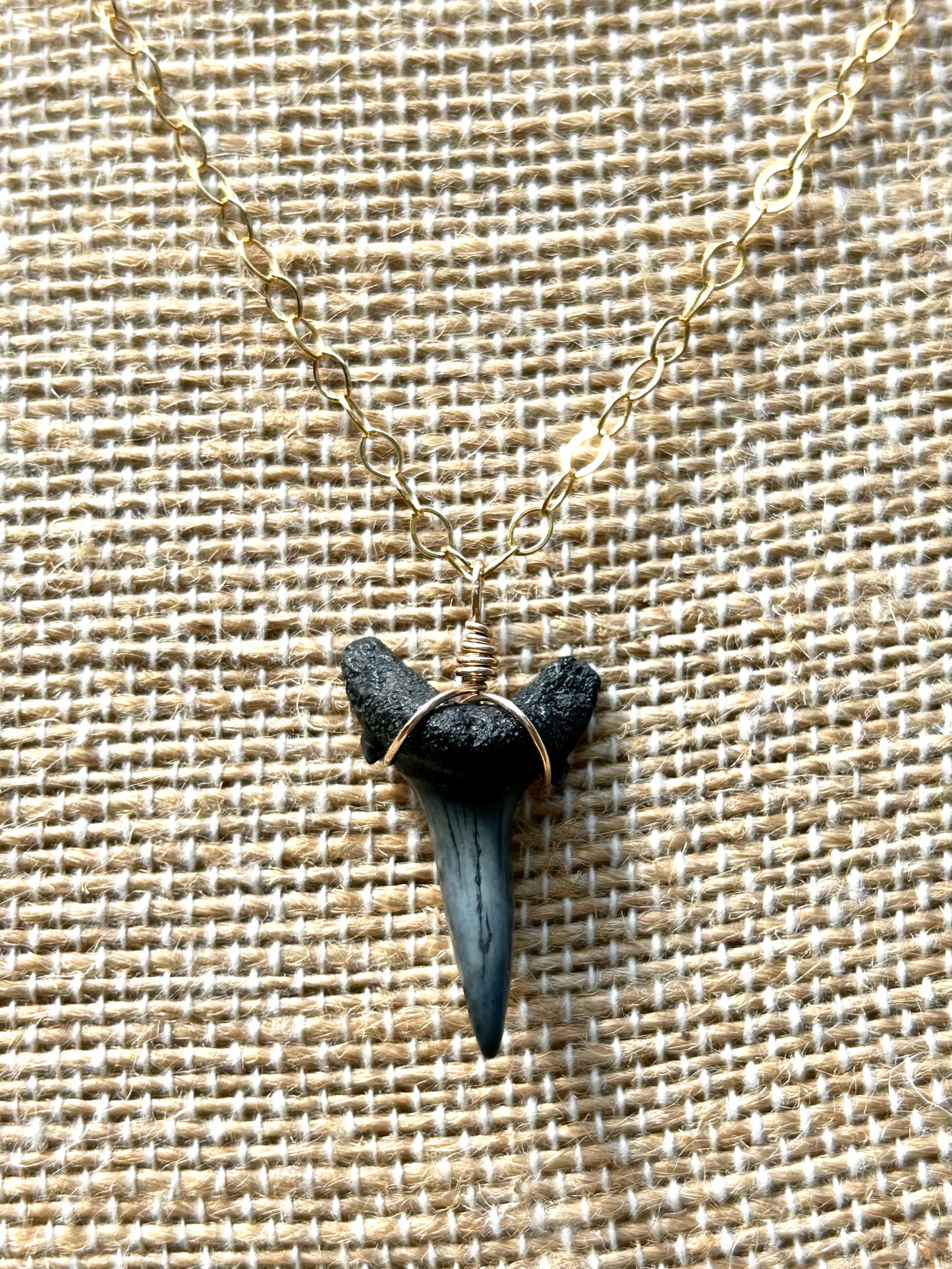 Natural Shark Tooth Fossil Simple Pendant Chain Necklace 14k Gold Filled