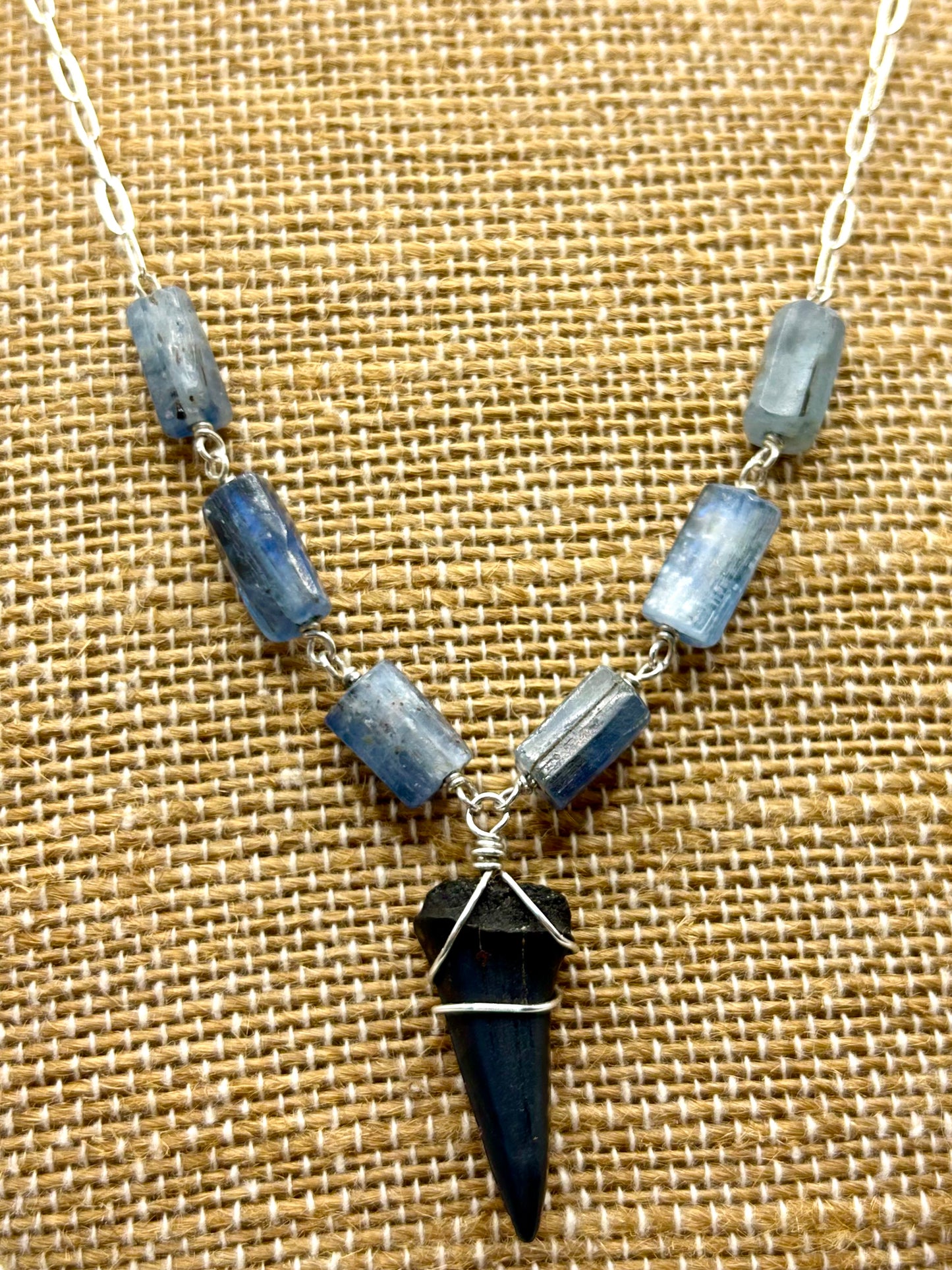Shark Tooth Fossil with Blue Kyanite Gemstone Sterling Silver Paperclip Chain Necklace