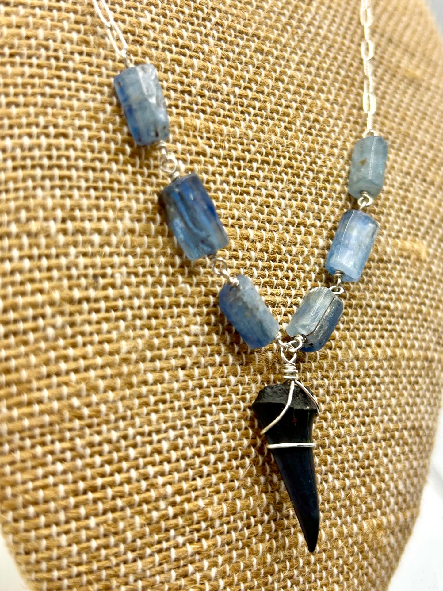 Shark Tooth Fossil with Blue Kyanite Gemstone Sterling Silver Paperclip Chain Necklace