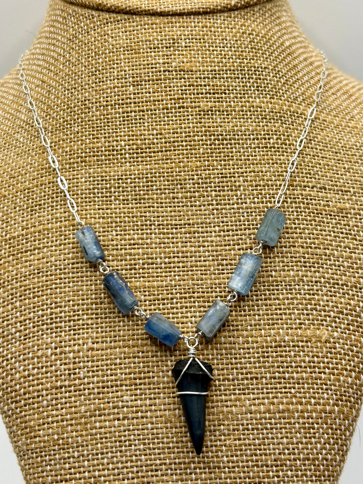 Shark Tooth Fossil with Blue Kyanite Gemstone Sterling Silver Paperclip Chain Necklace