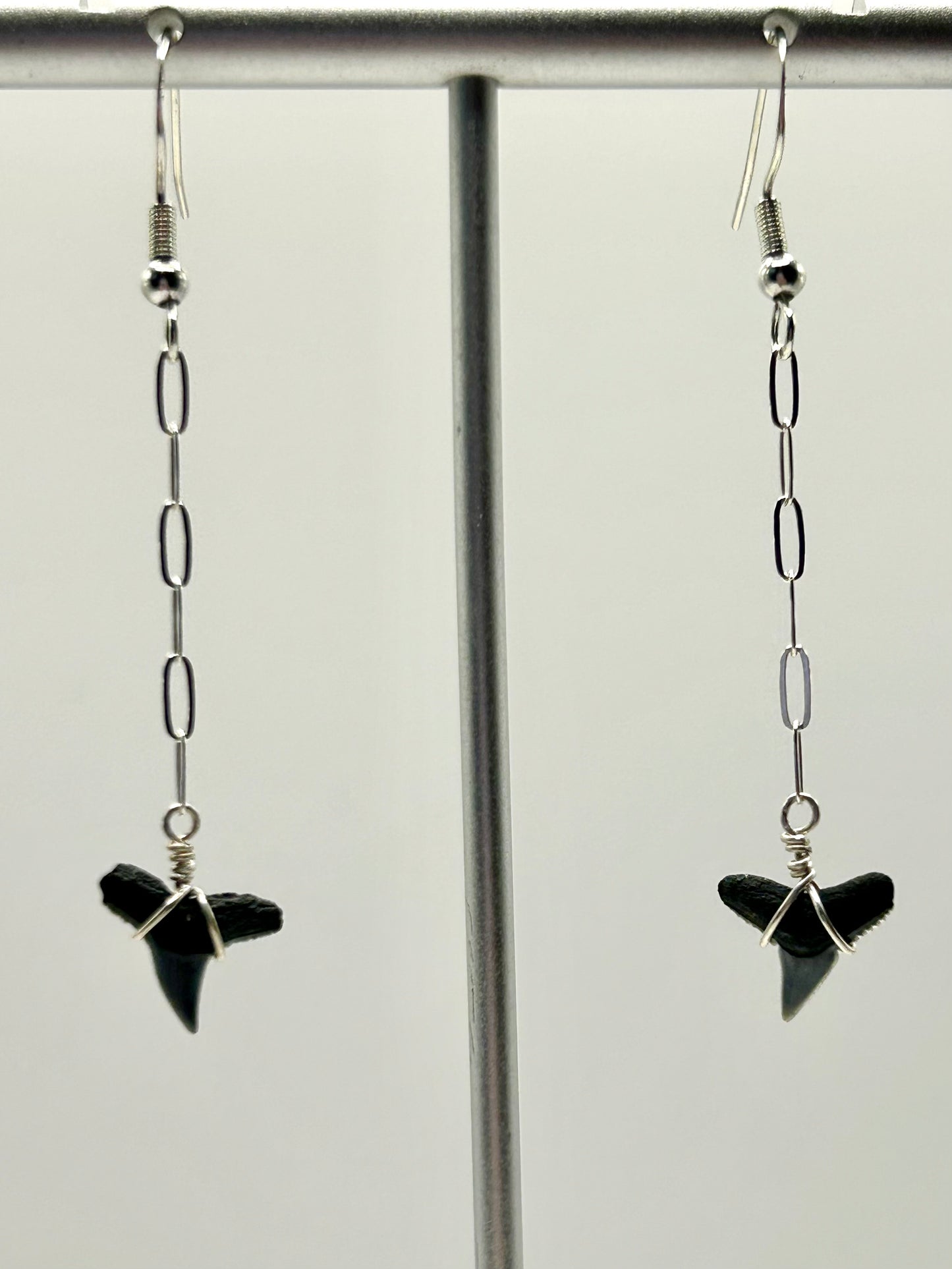 Shark Tooth Fossil with Paperclip Chain Sterling Silver Dangly Earrings