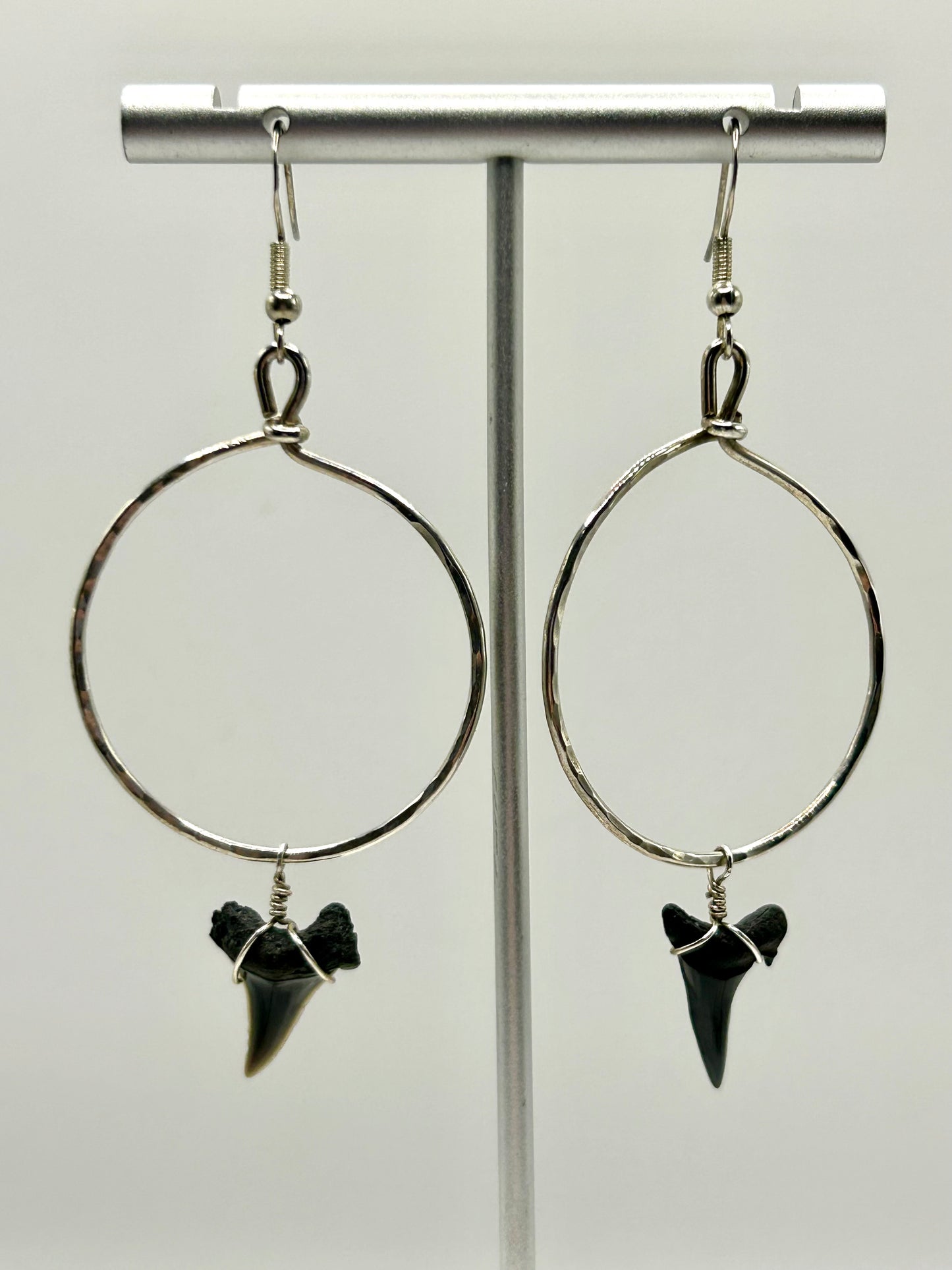 Shark Tooth Fossil Sterling Silver Hoop Earrings