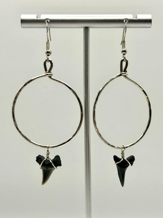 Shark Tooth Fossil Sterling Silver Hoop Earrings