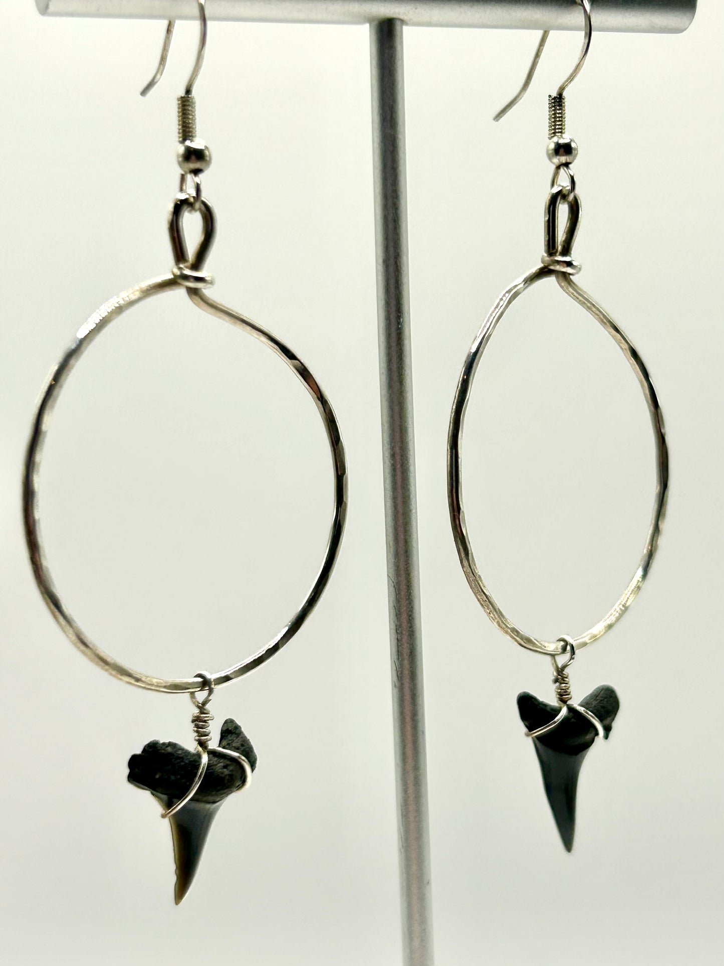 Shark Tooth Fossil Sterling Silver Hoop Earrings